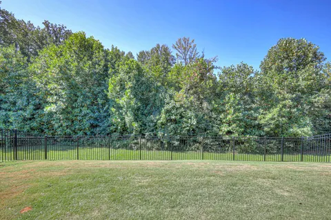 a view of a field and trees