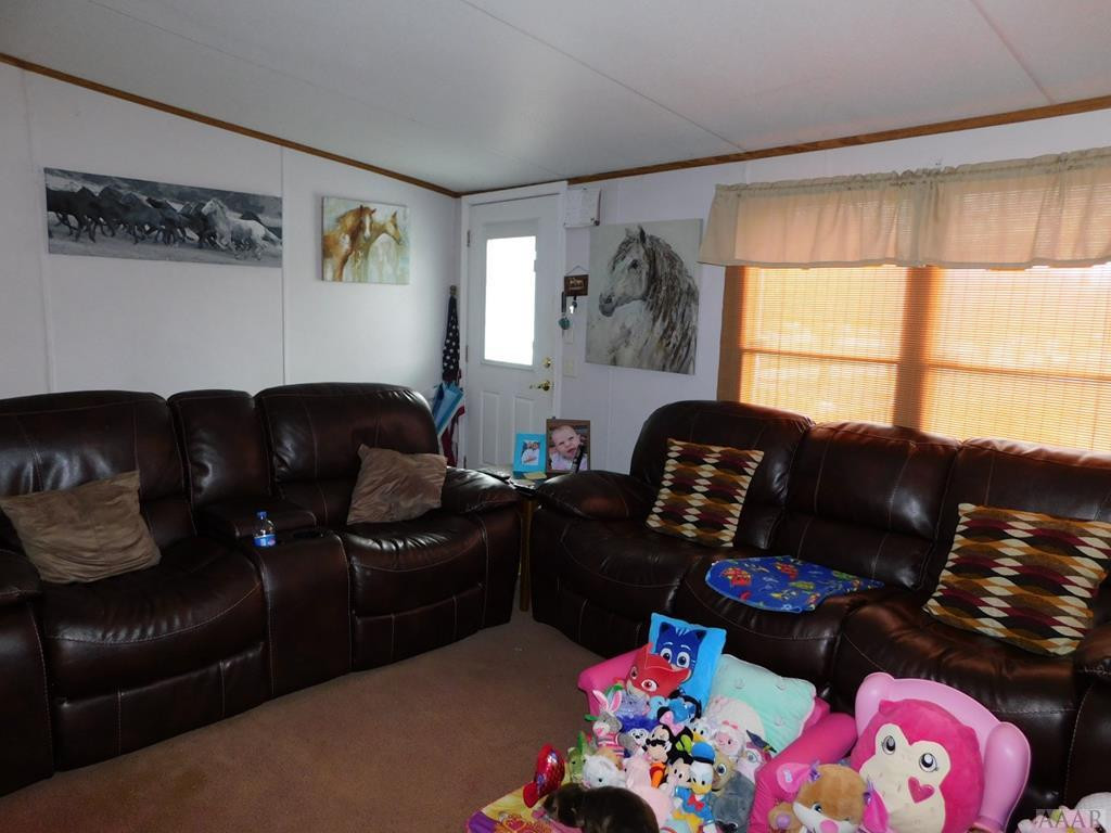 310 Spivey Road Hobbsville, NC 27946 - Photo 2 of 27 LIVING ROOM