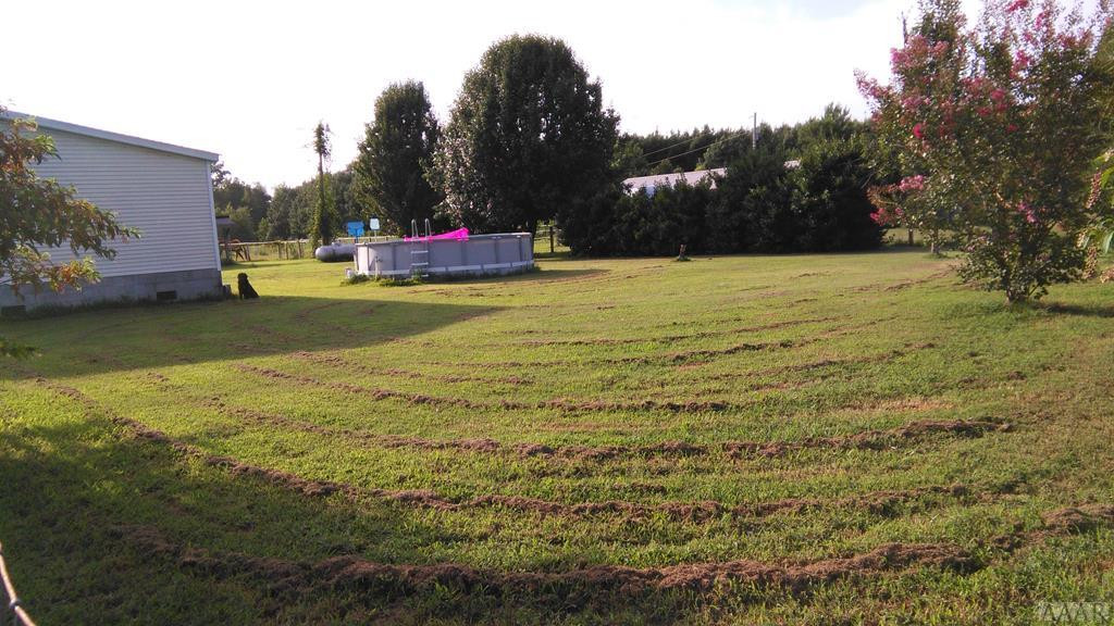 310 Spivey Road Hobbsville, NC 27946 - Photo 24 of 27 BACKYARD