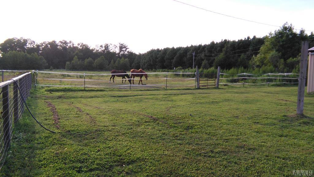 310 Spivey Road Hobbsville, NC 27946 - Photo 25 of 27 PASTURE