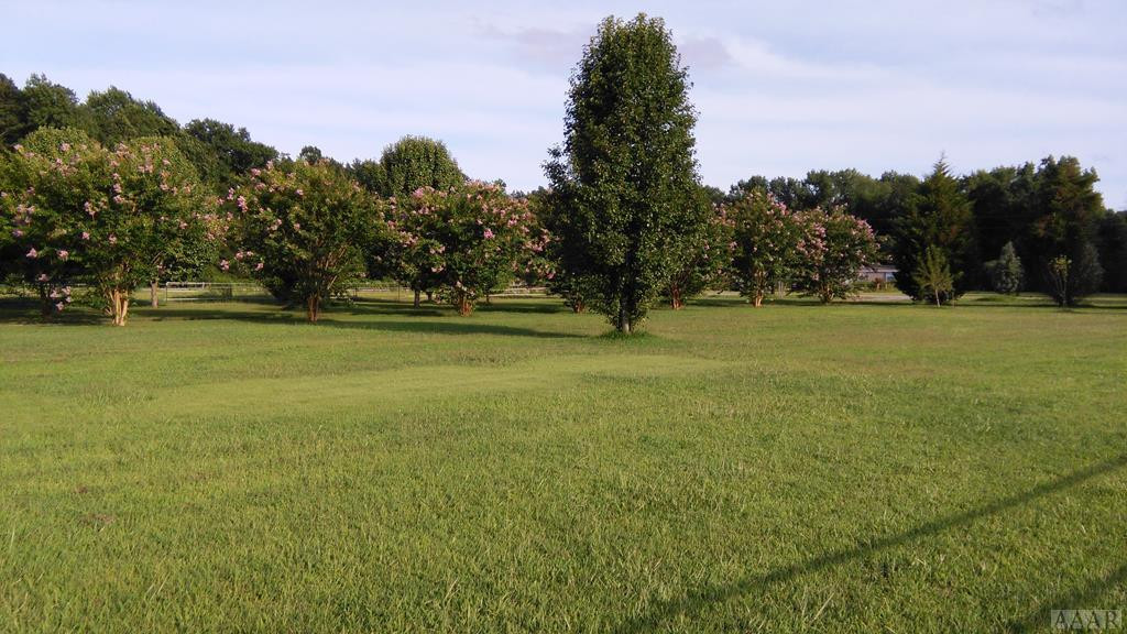 310 Spivey Road Hobbsville, NC 27946 - Photo 26 of 27 PASTURE