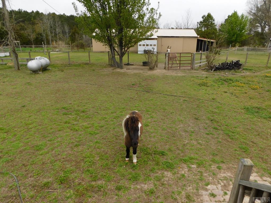 310 Spivey Road Hobbsville, NC 27946 - Photo 27 of 27 REAR PASTURE