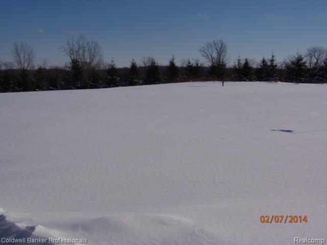 4854 Bishop Road Dryden, MI 48428 - Photo 15 of 43 4854 Bishop side yard.jpg