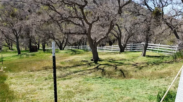a view of outdoor space with garden
