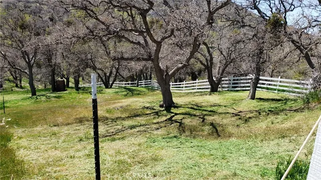 a view of outdoor space with garden