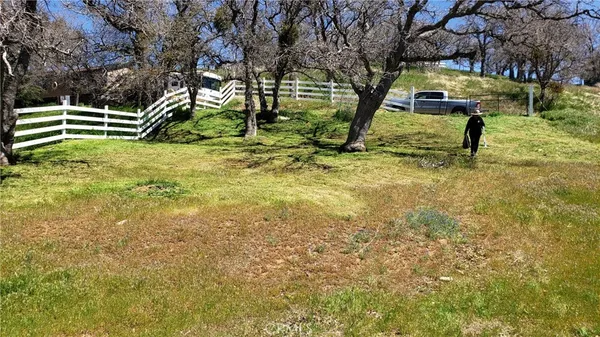a big yard with lots of green space and trees