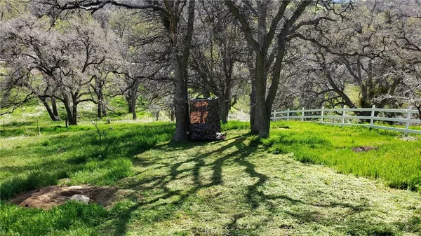 a view of a yard with wooden fence and trees
