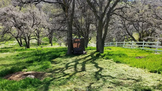 a view of a yard with wooden fence and trees