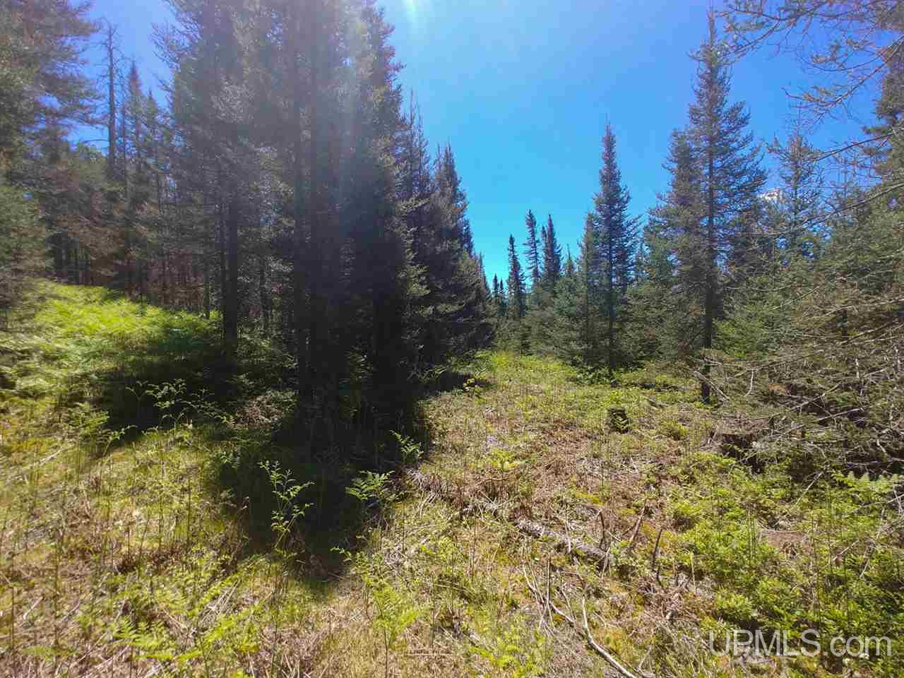 80-acres County Rd FFH Ishpeming, MI 49849 - Photo 7 of 28