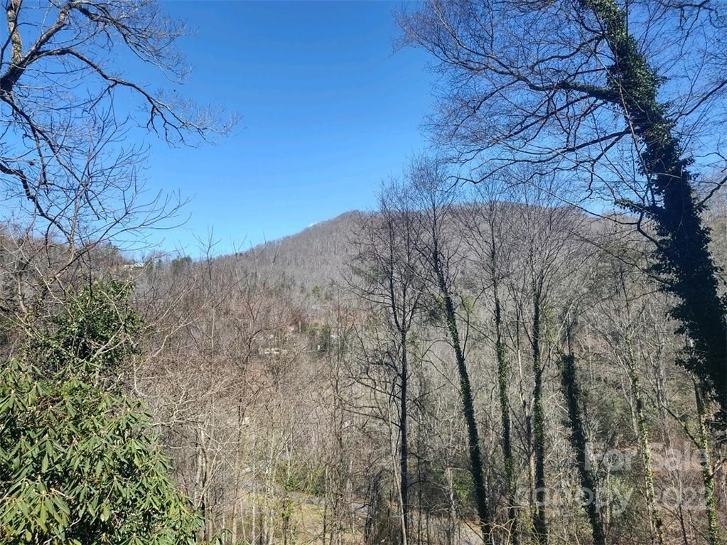180 Claude Cook Road Sylva, NC 28779 - Photo 3 of 14 Gallery Image 3