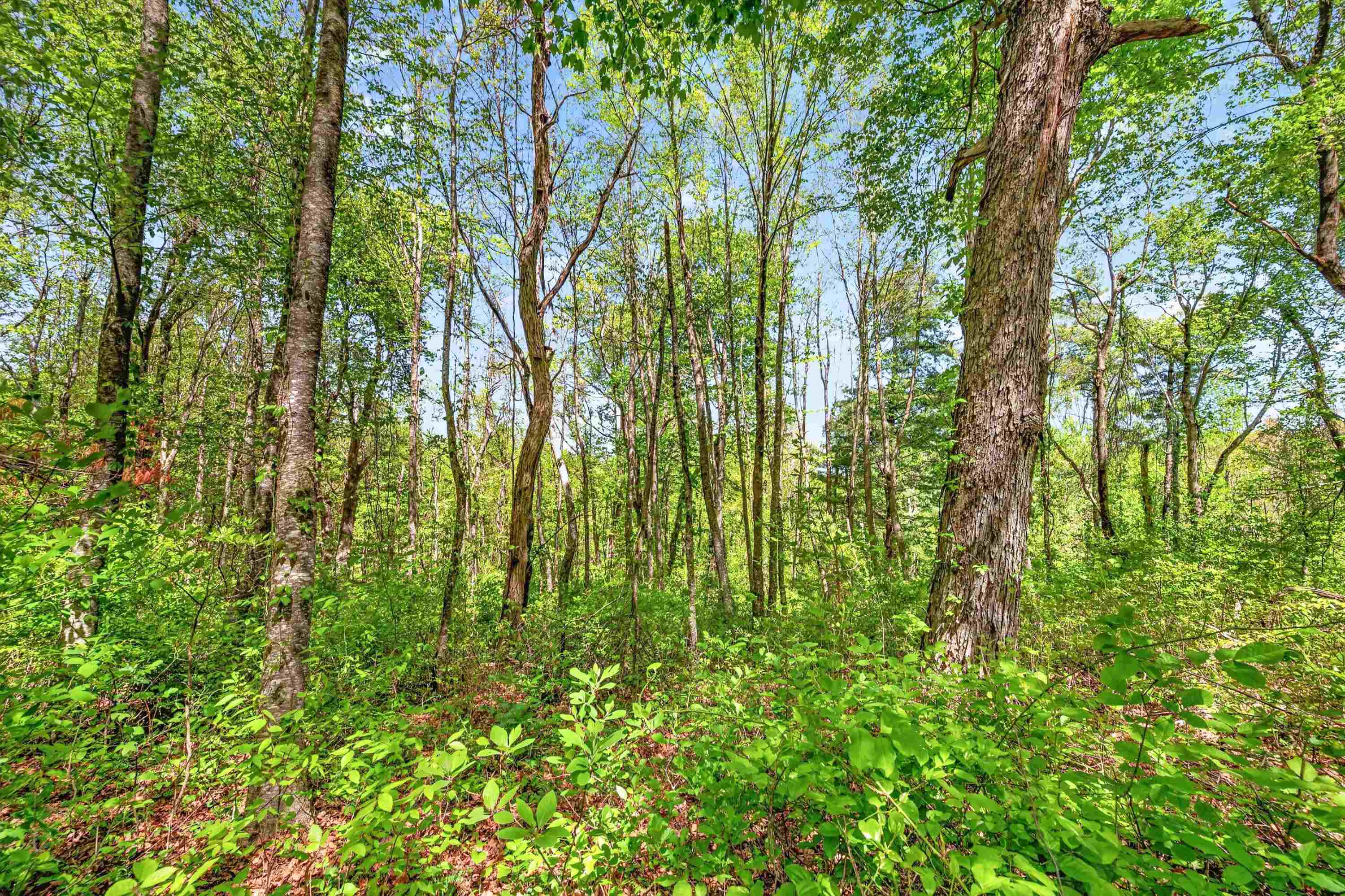 0 Countyline Church Road Southeast Floyd, VA 24091 - Photo 2 of 4 Gallery Image 2