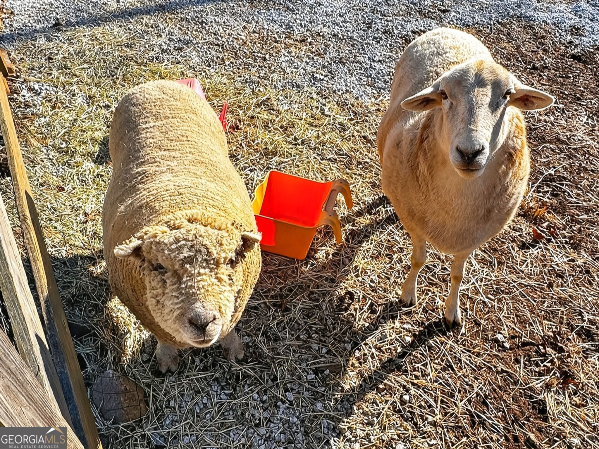 285 Dial Mill Road Oxford, GA 30054 - Photo 77 of 85