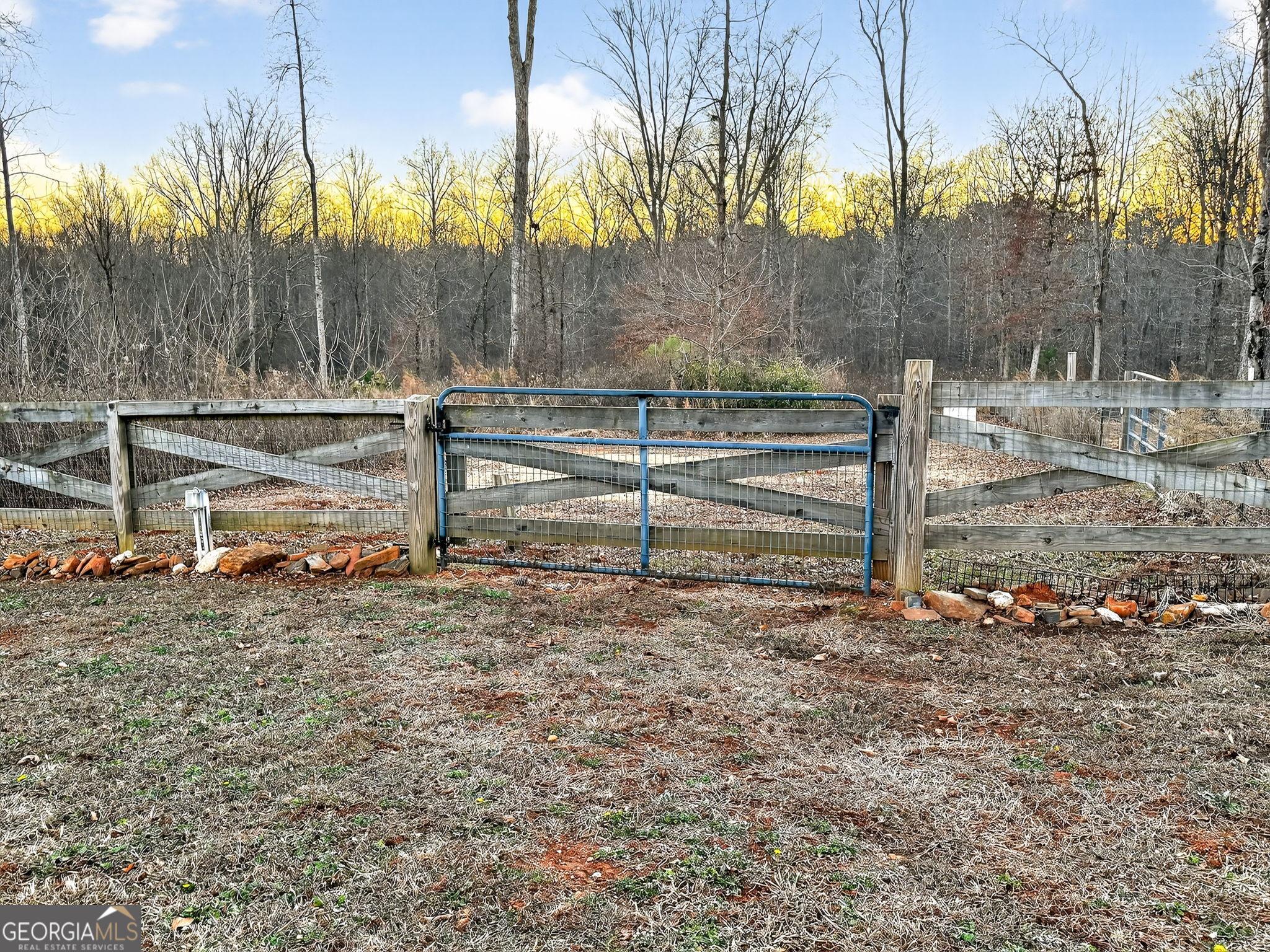 285 Dial Mill Road Oxford, GA 30054 - Photo 78 of 85 a view of backyard with trees