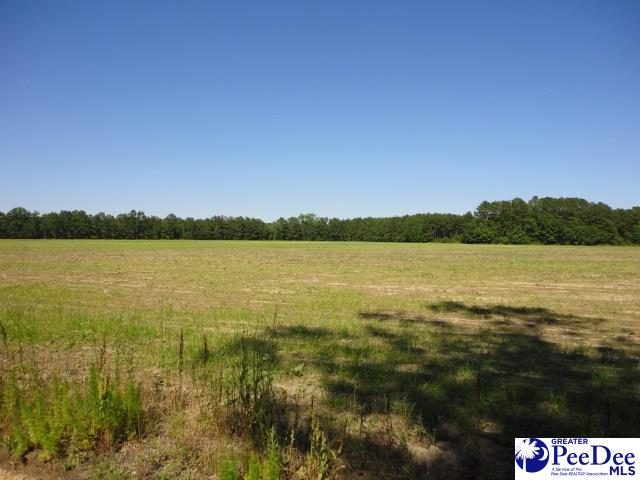 Oak Stump Road Timmonsville, SC 29161 - Photo 1 of 1 Gallery Image 1