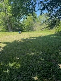 a view of a field with an trees