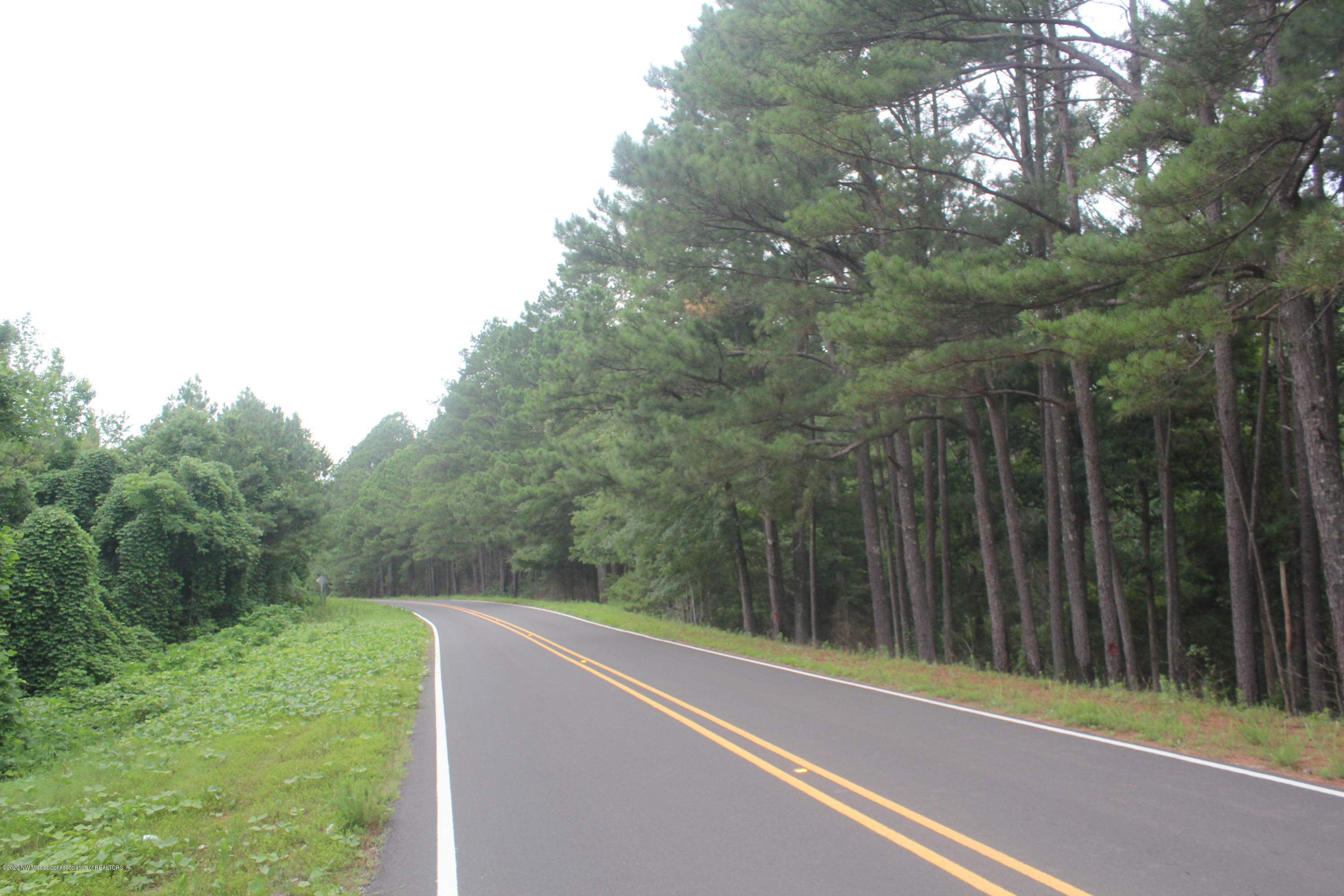 0 Higdon Road Holly Springs, MS 38635 - Photo 1 of 42 IMG_4489