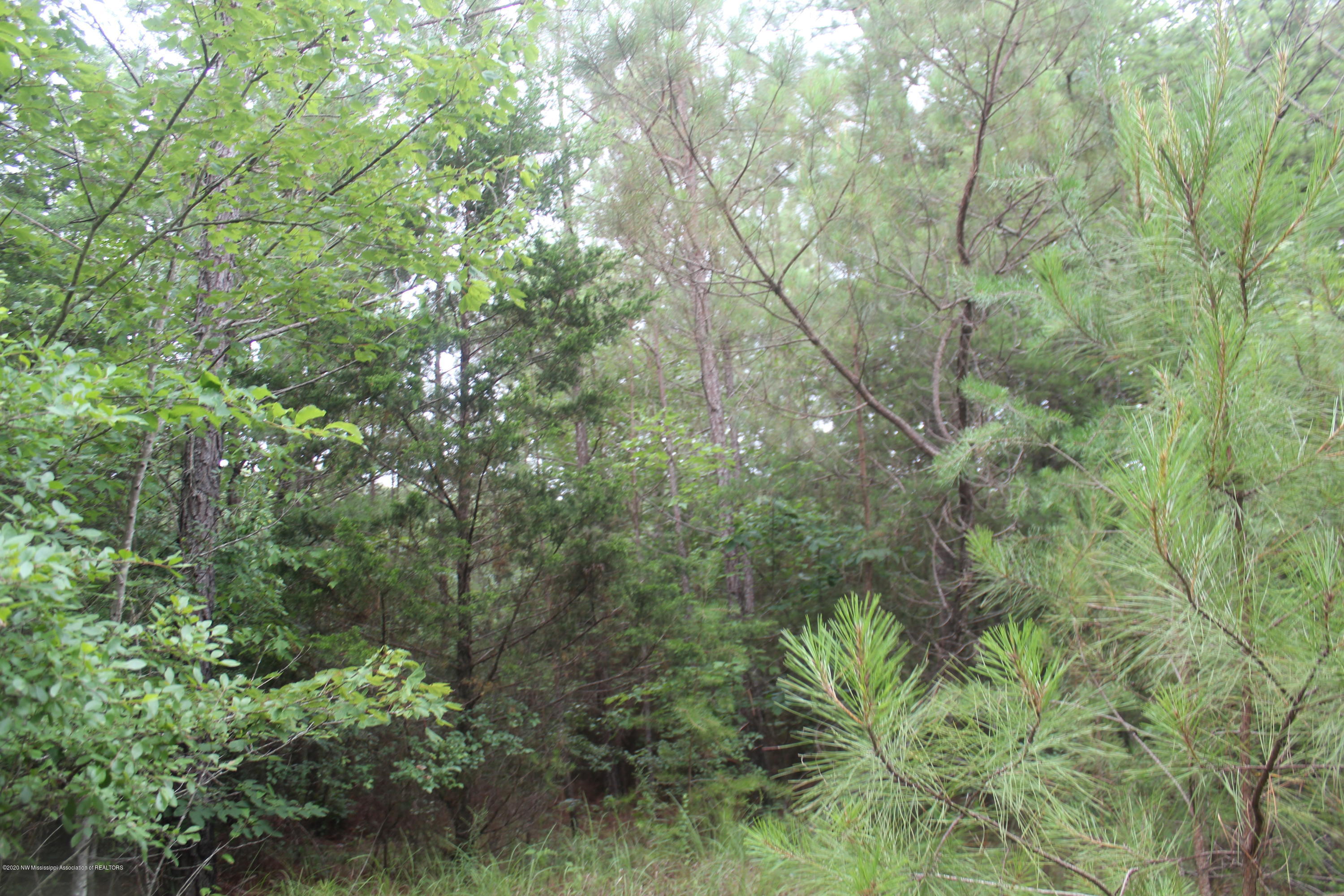 0 Higdon Road Holly Springs, MS 38635 - Photo 21 of 42 IMG_4509