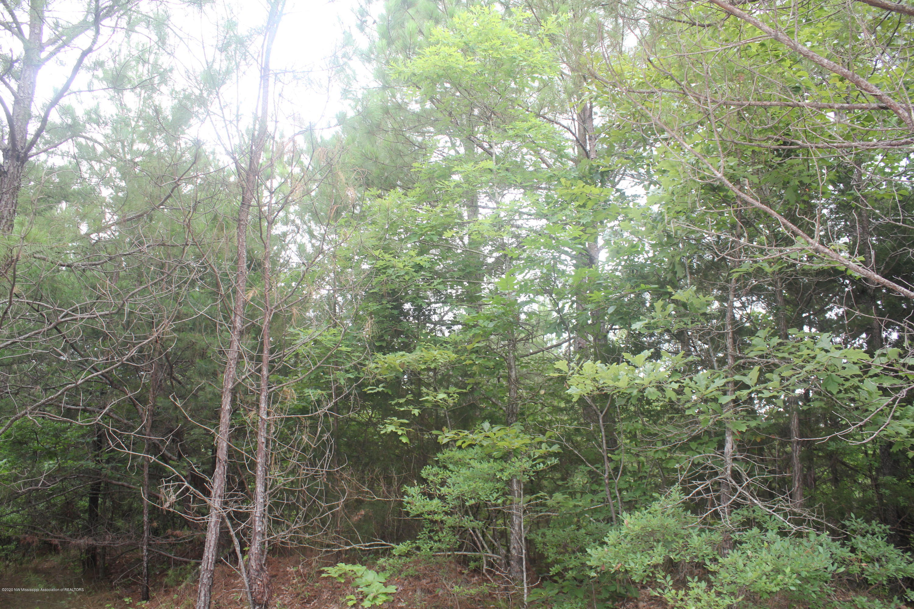 0 Higdon Road Holly Springs, MS 38635 - Photo 22 of 42 IMG_4510