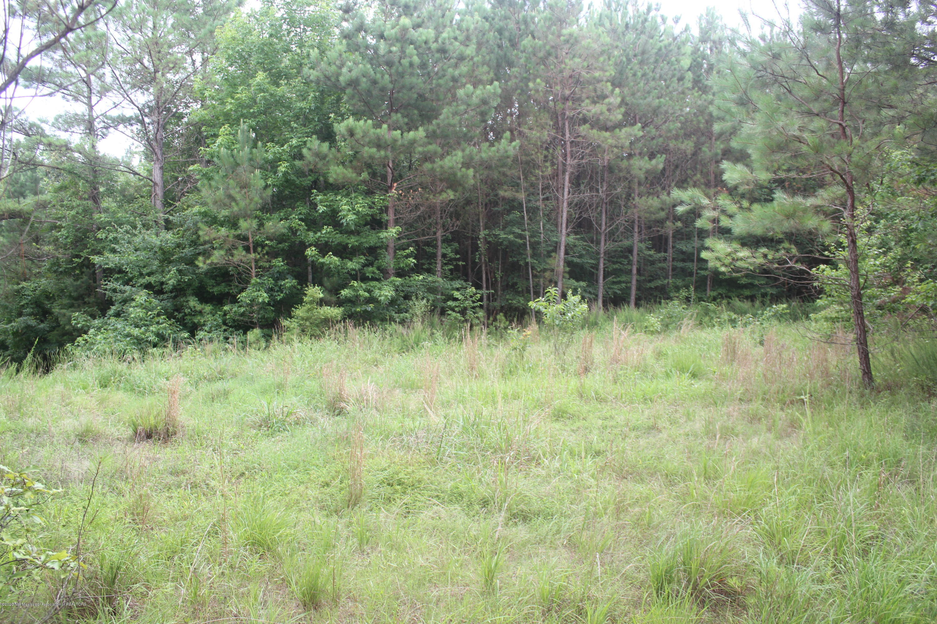 0 Higdon Road Holly Springs, MS 38635 - Photo 30 of 42 IMG_4518