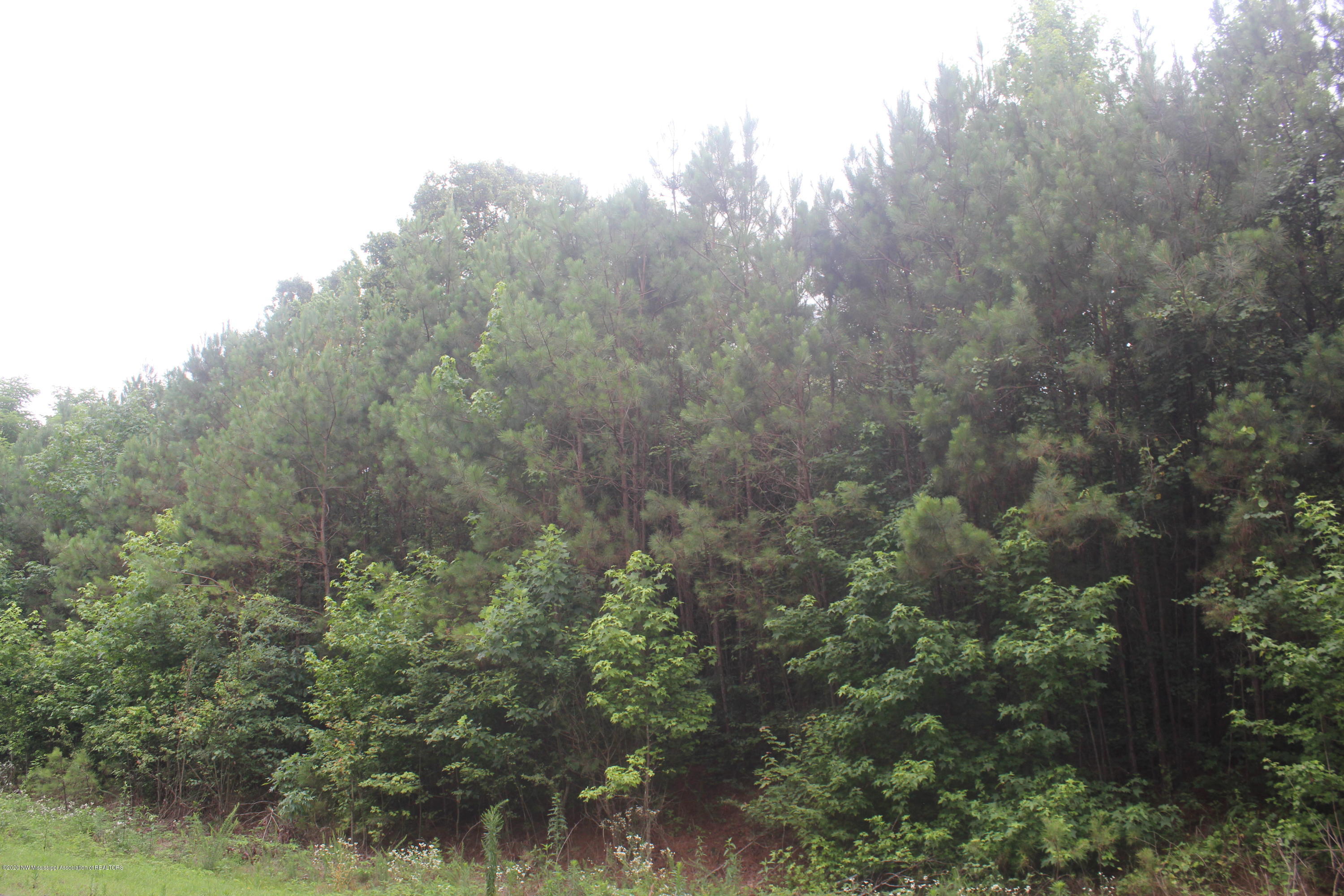 0 Higdon Road Holly Springs, MS 38635 - Photo 3 of 42 IMG_4491