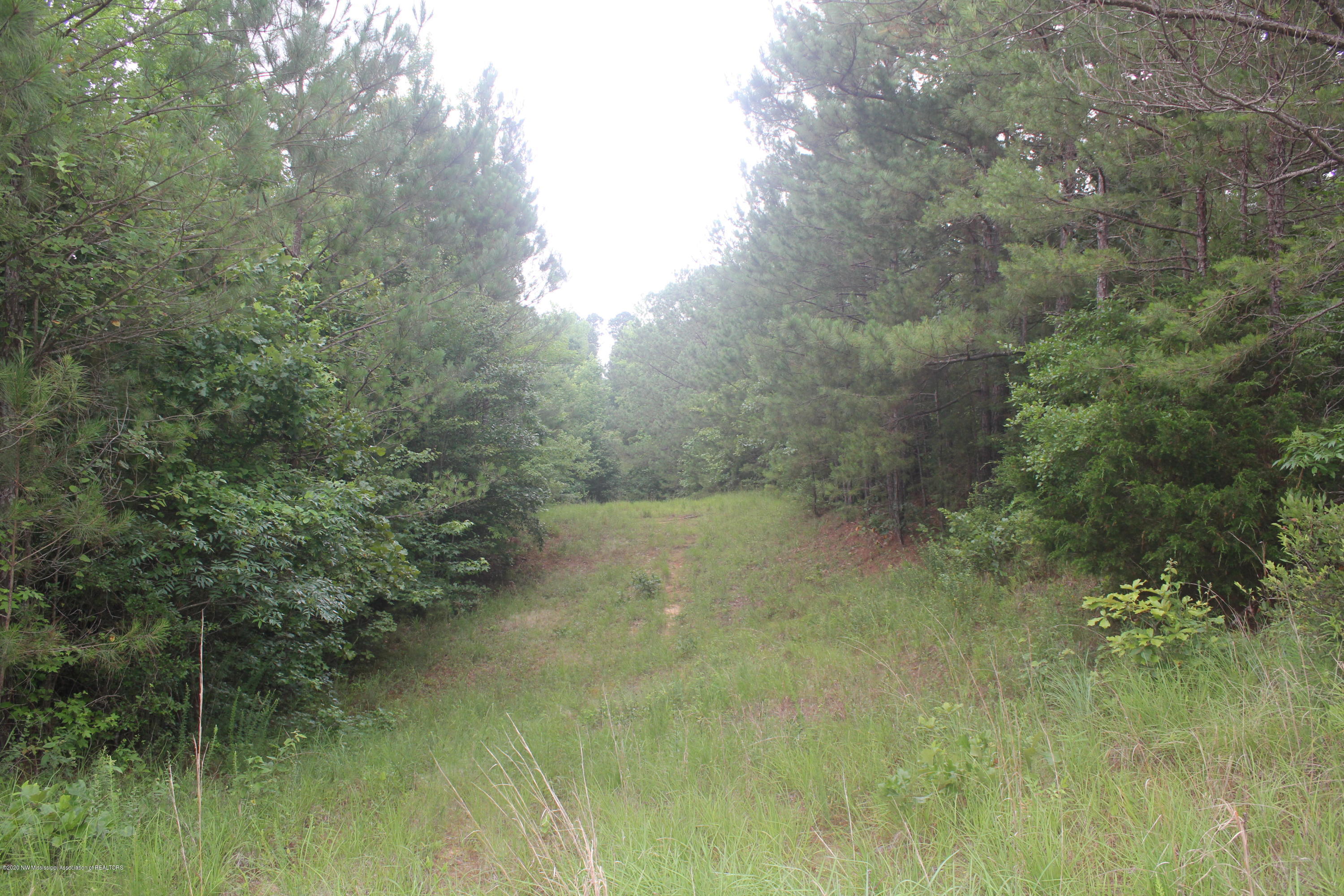 0 Higdon Road Holly Springs, MS 38635 - Photo 31 of 42 IMG_4519
