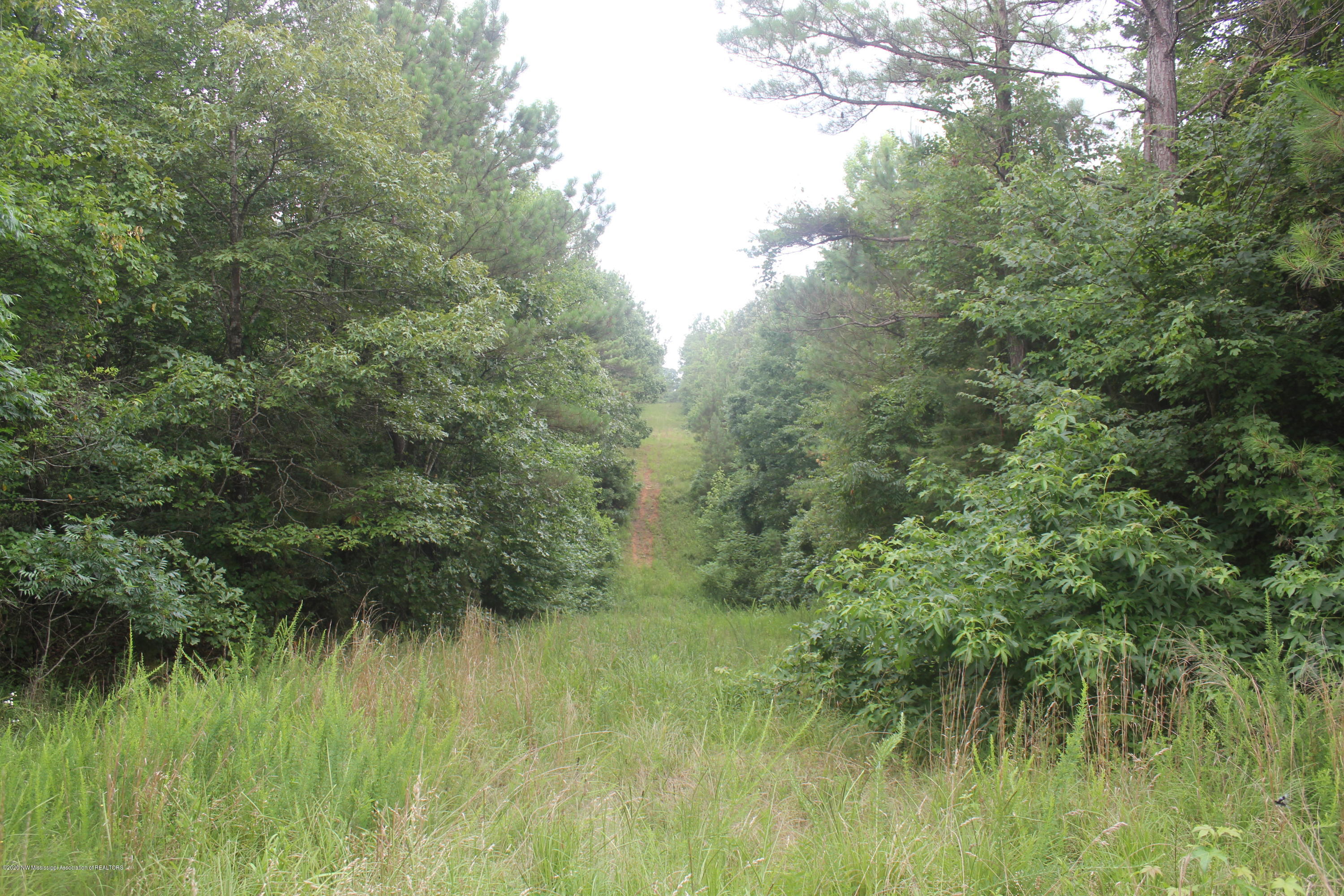 0 Higdon Road Holly Springs, MS 38635 - Photo 33 of 42 IMG_4521