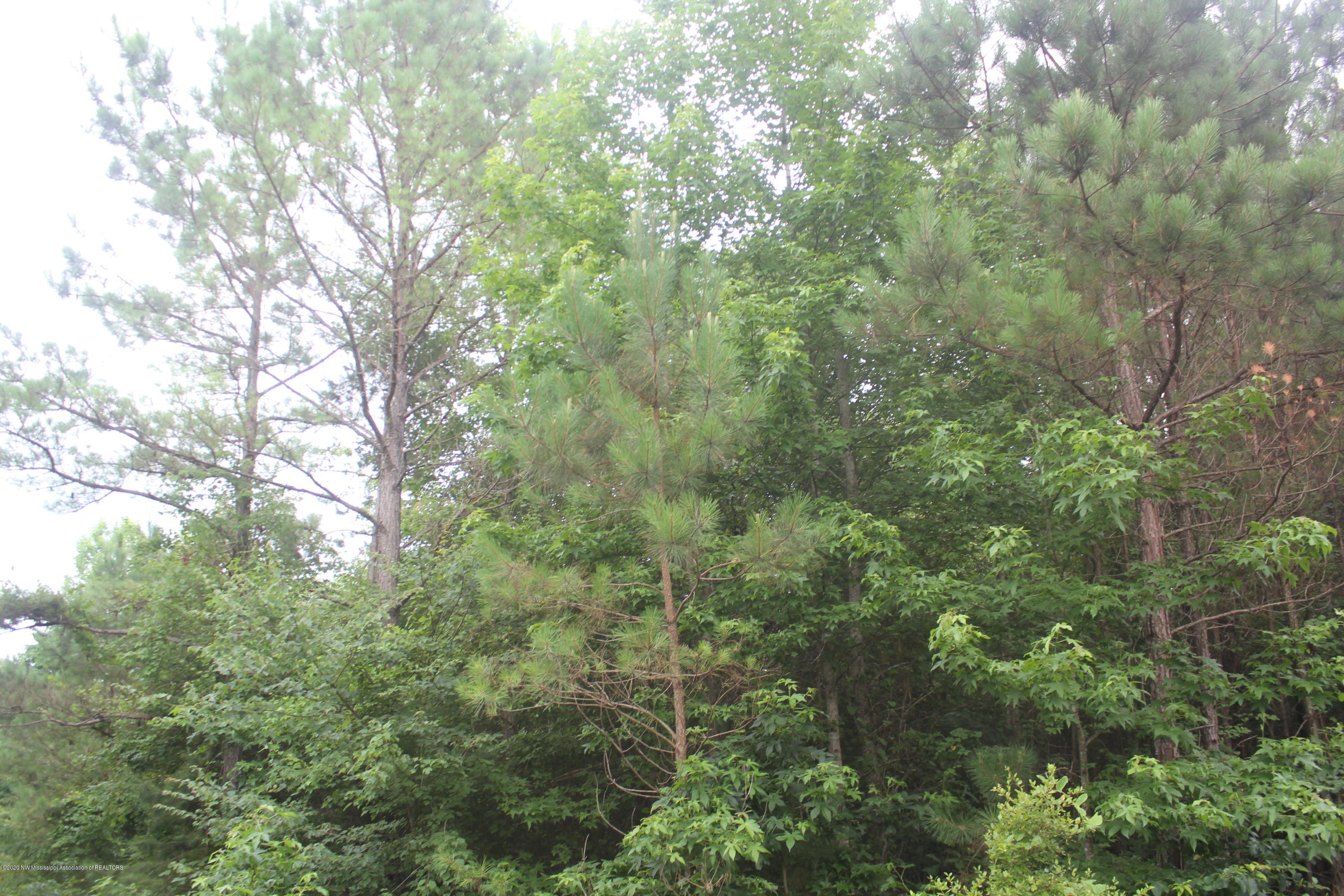 0 Higdon Road Holly Springs, MS 38635 - Photo 34 of 42 IMG_4522