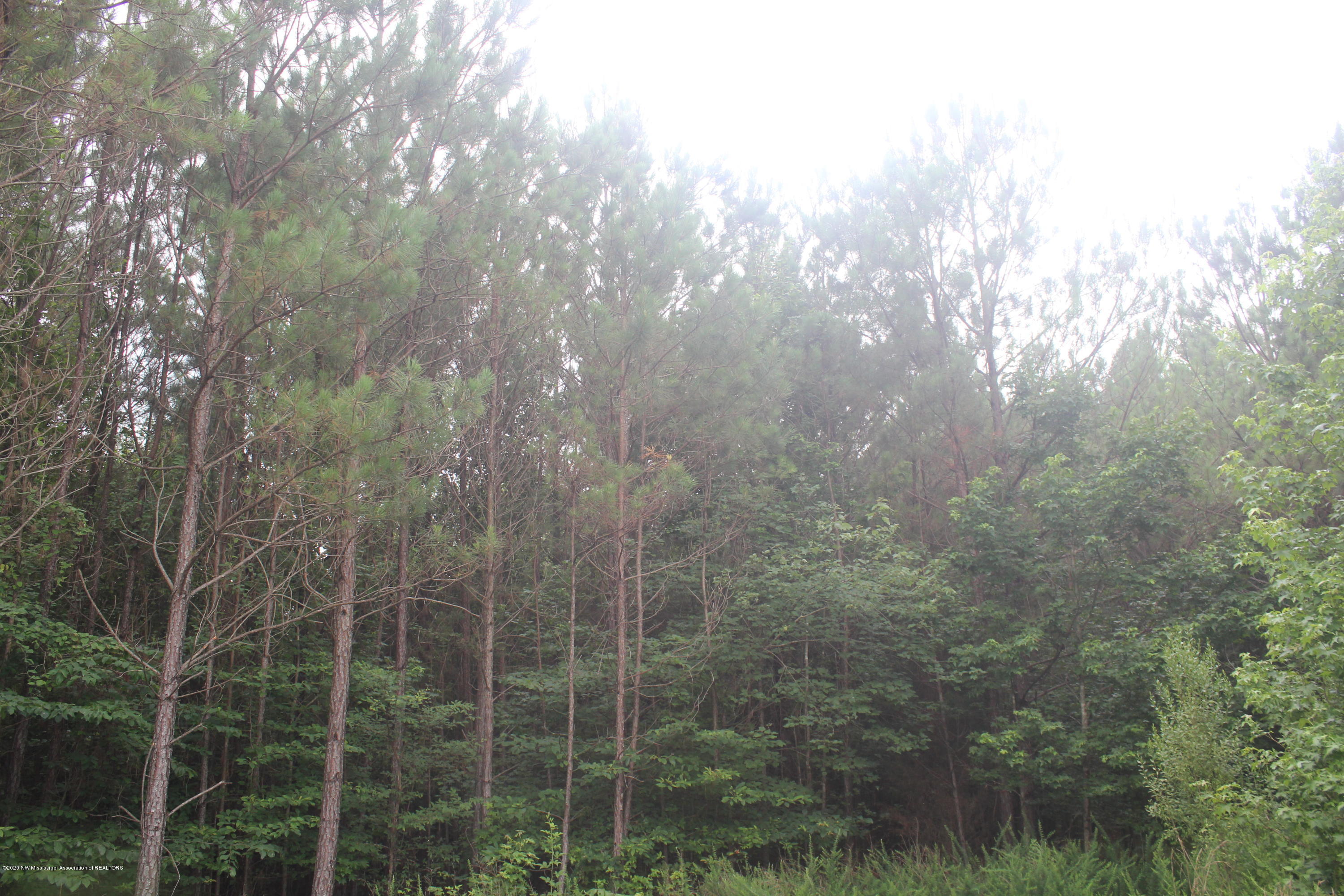 0 Higdon Road Holly Springs, MS 38635 - Photo 36 of 42 IMG_4524