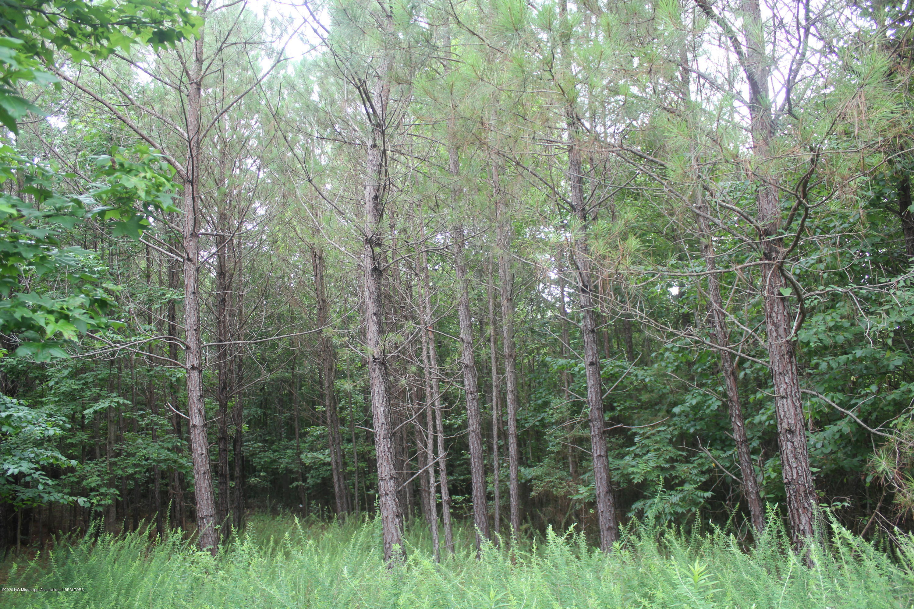 0 Higdon Road Holly Springs, MS 38635 - Photo 37 of 42 IMG_4525