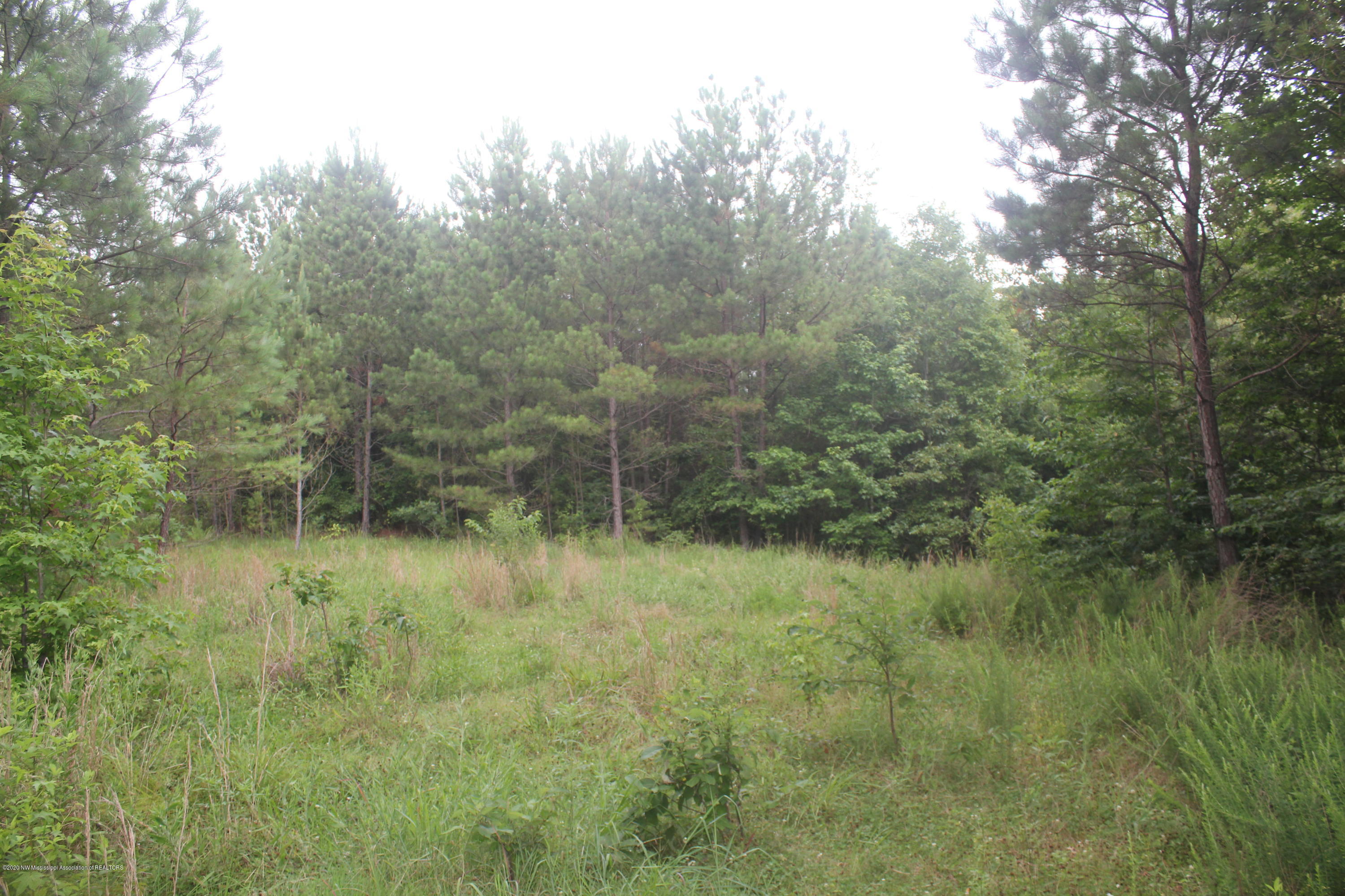 0 Higdon Road Holly Springs, MS 38635 - Photo 38 of 42 IMG_4526