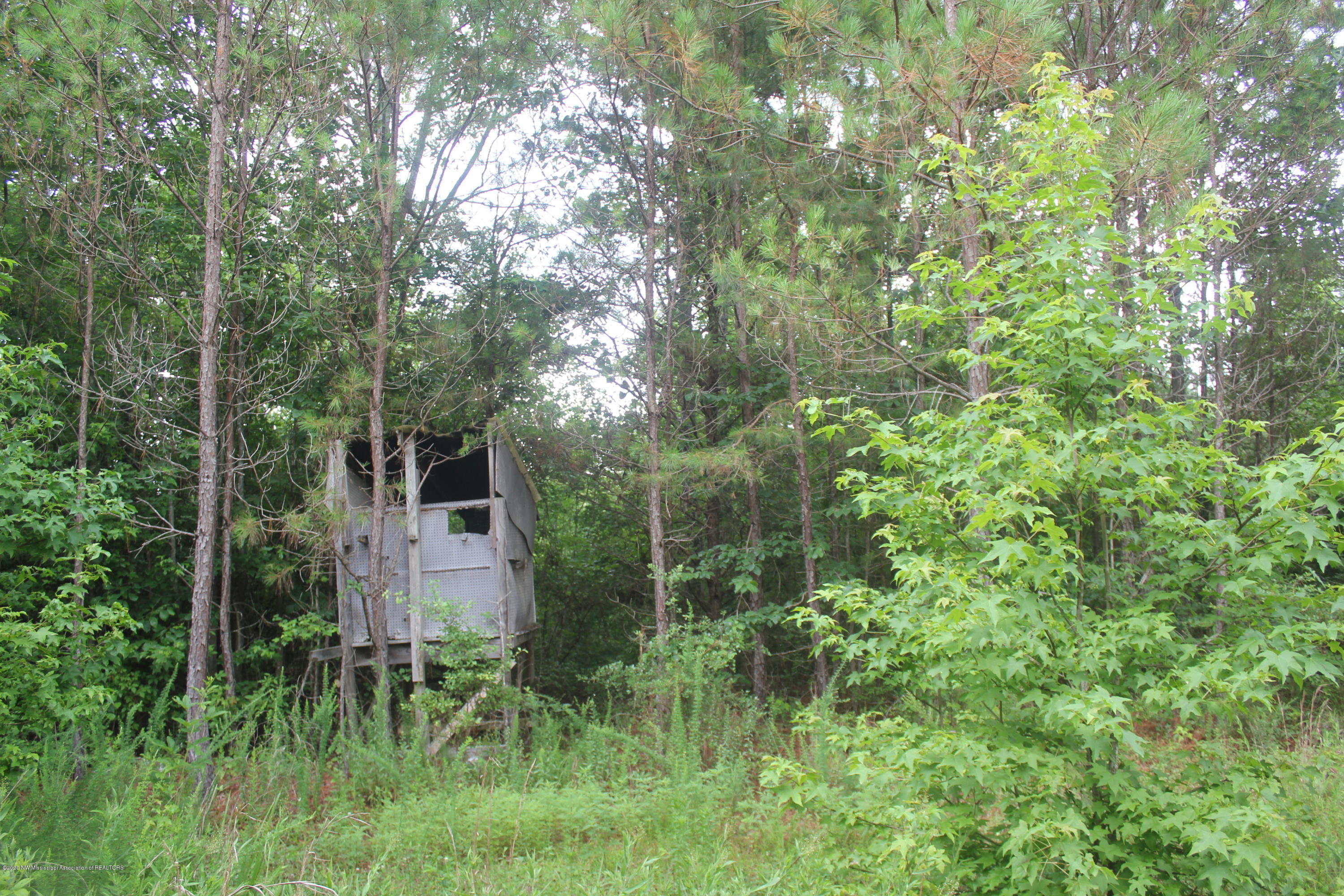 0 Higdon Road Holly Springs, MS 38635 - Photo 39 of 42 IMG_4527
