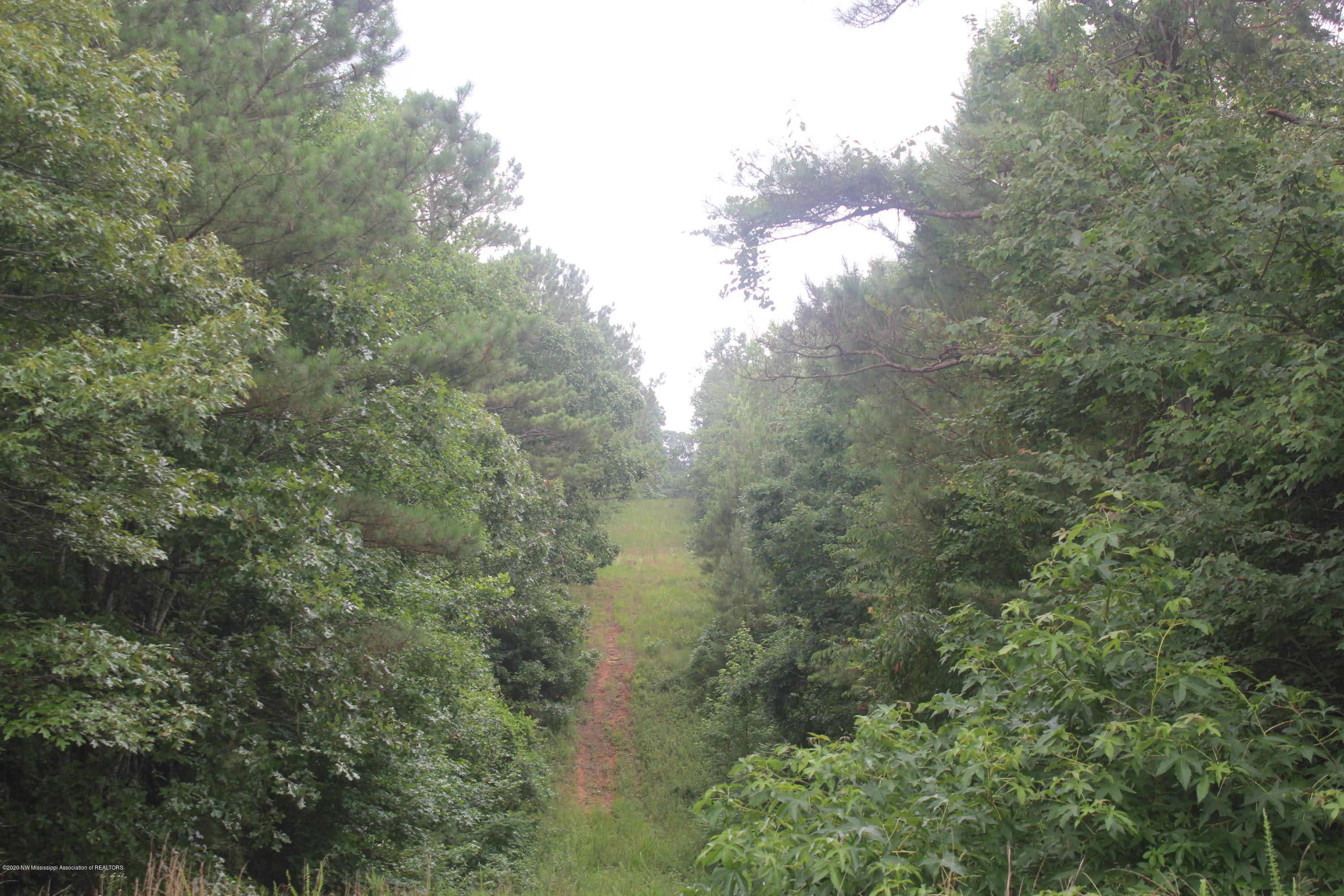 0 Higdon Road Holly Springs, MS 38635 - Photo 40 of 42 IMG_4528