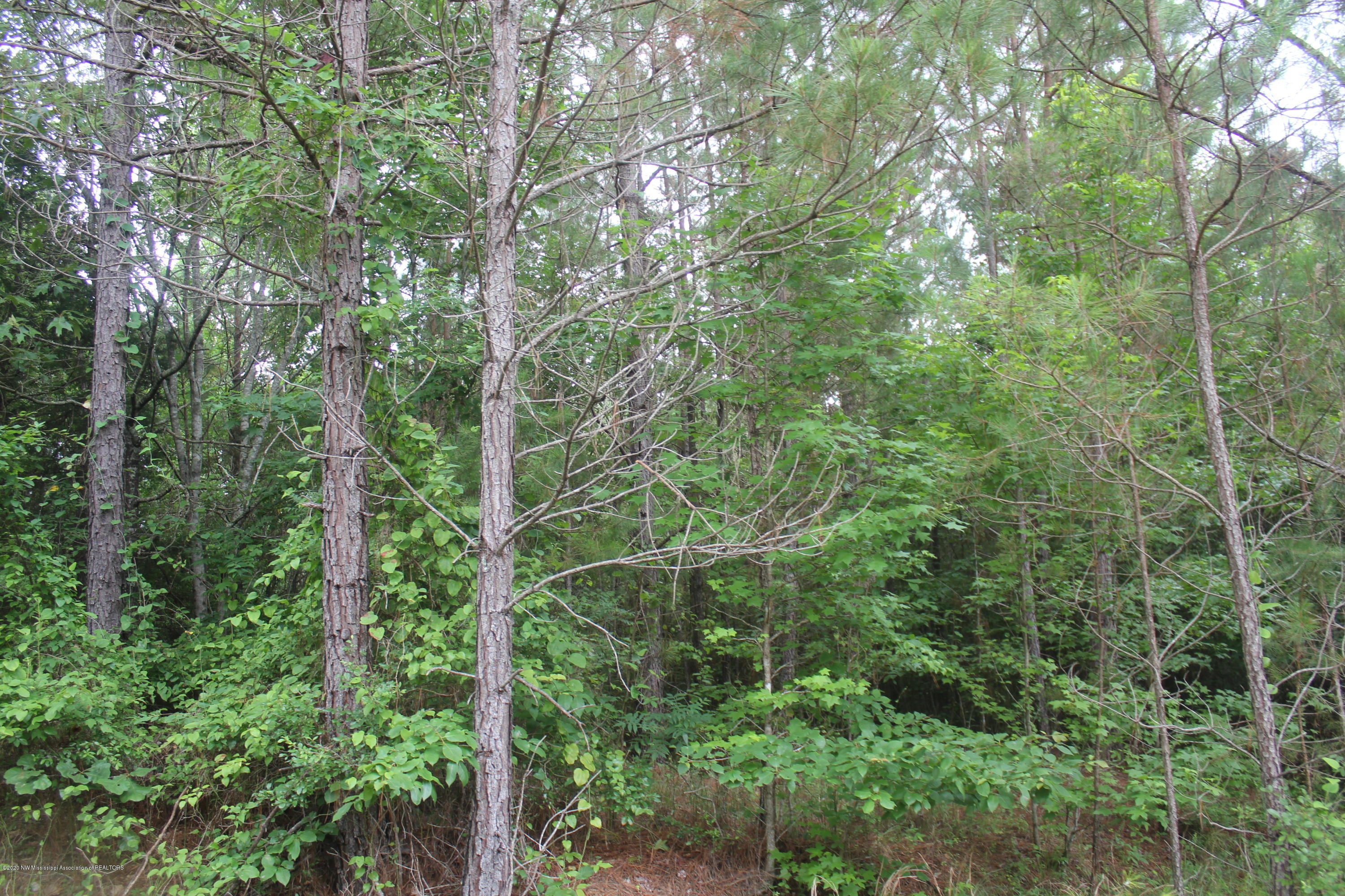 0 Higdon Road Holly Springs, MS 38635 - Photo 42 of 42 IMG_4530