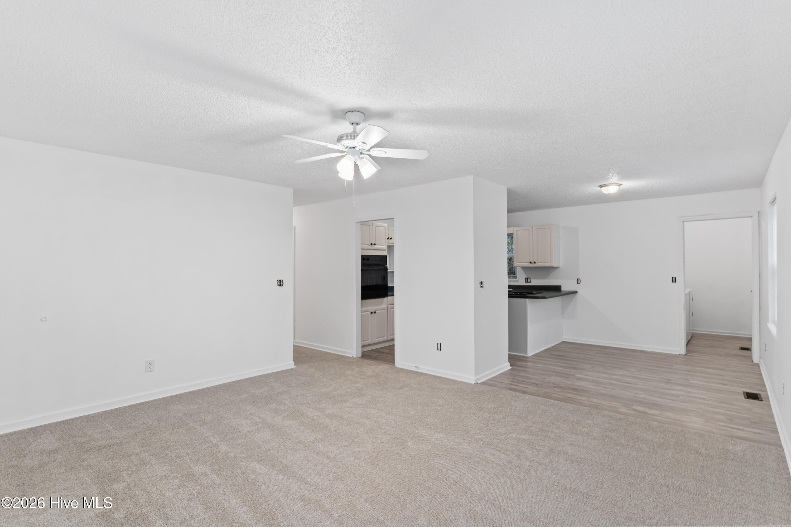 7358 Ivanhoe Road Ivanhoe, NC 28447 - Photo 26 of 38 25-DSC06619