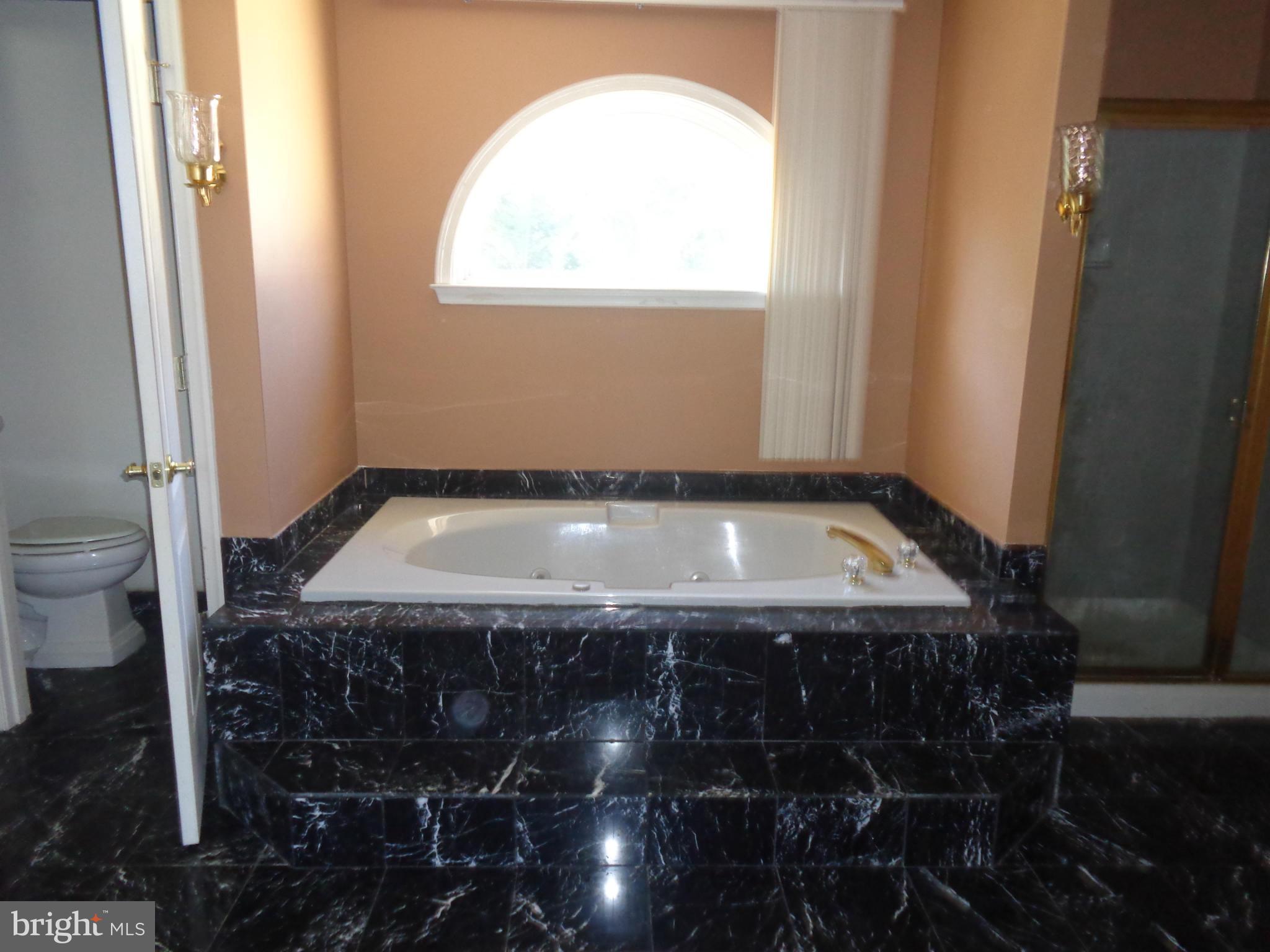 607 Bryan Point Road Accokeek, MD 20607 - Photo 10 of 15 Bath (Master)