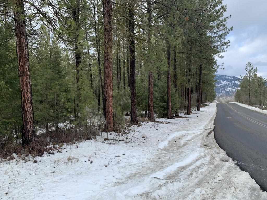 Tbd Tbd Cedar Loop Road Colville, WA 99114 - Photo 1 of 7 Gallery Image 1