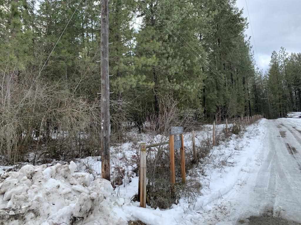 Tbd Tbd Cedar Loop Road Colville, WA 99114 - Photo 5 of 7 Gallery Image 5