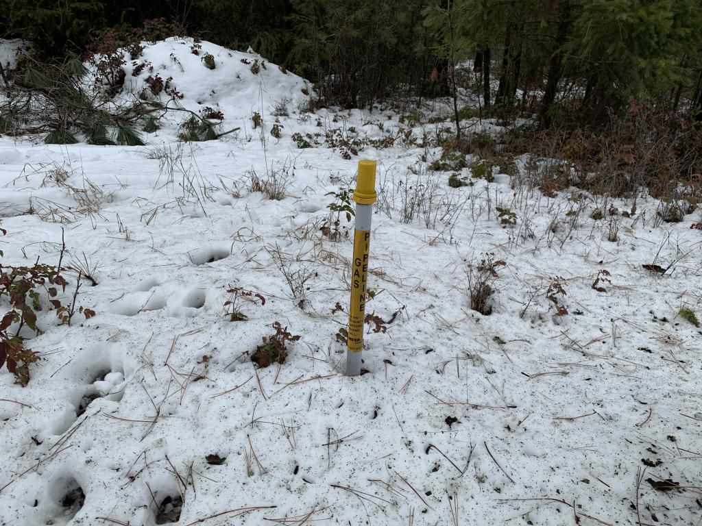 Tbd Tbd Cedar Loop Road Colville, WA 99114 - Photo 7 of 7 Gallery Image 7