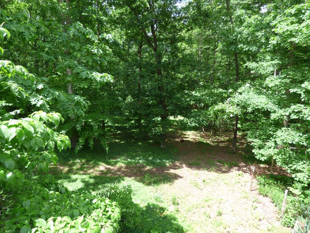 297 Legrande Road Dillwyn, VA 23936 - Photo 59 of 65 Gallery Image 59