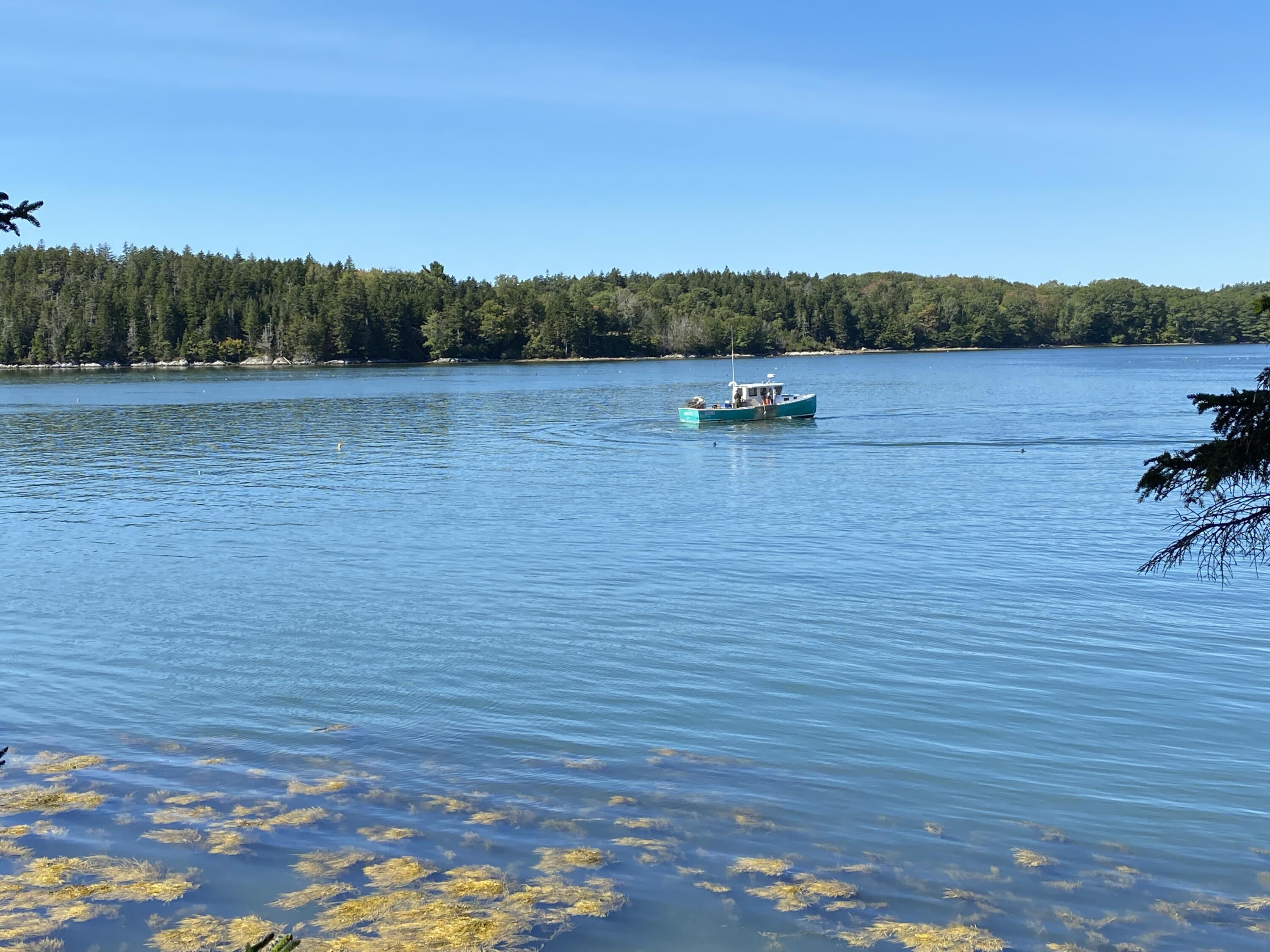 261 Otis Point Road St. George, ME 04860 - Photo 23 of 66 IMG_8869