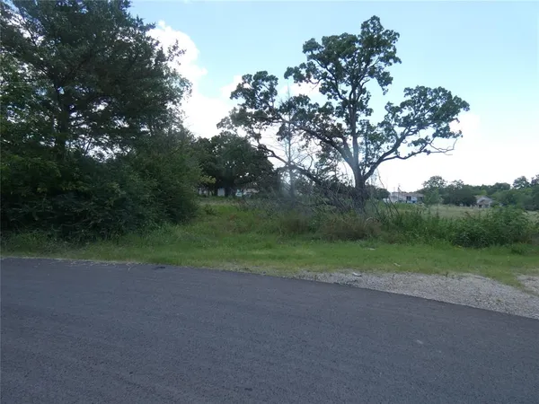 a view of a field with a tree