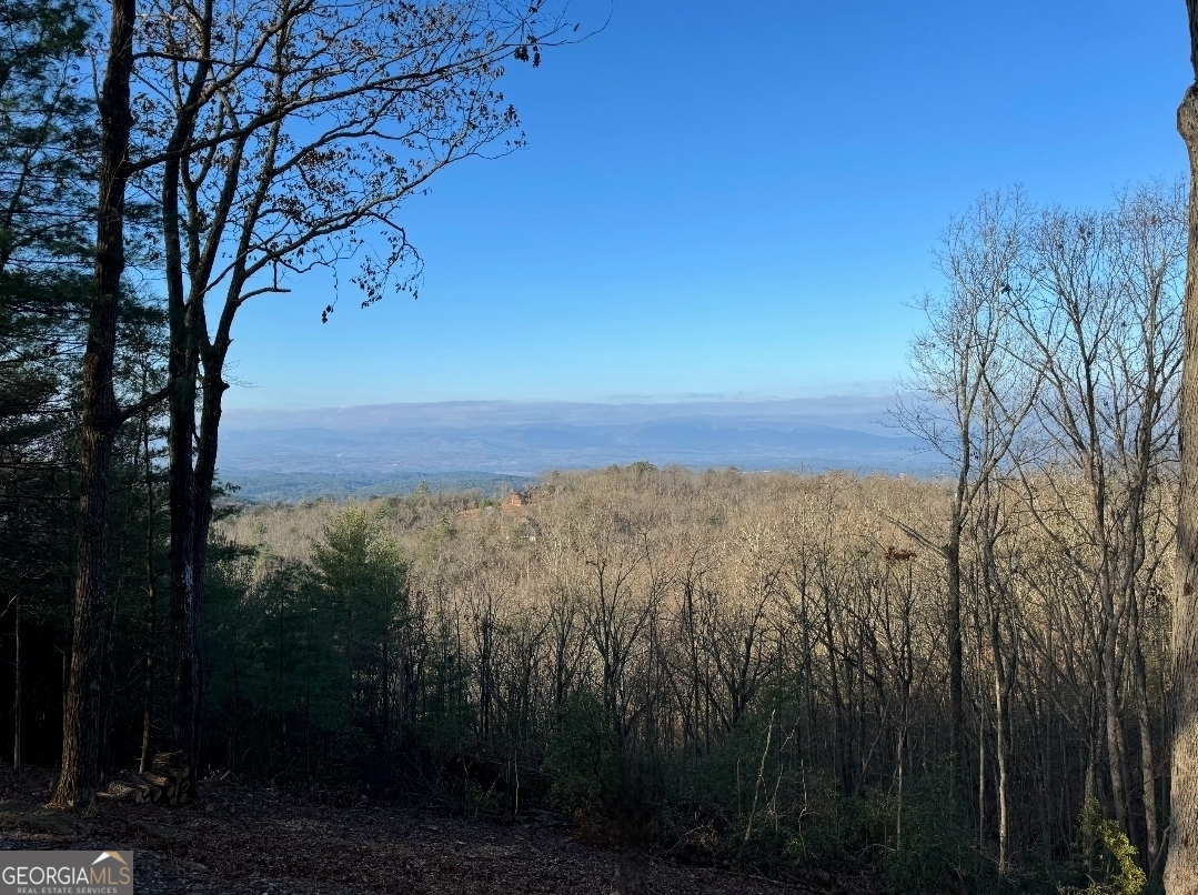 93 High Chapperal Crest Murphy, NC 28906 - Photo 1 of 12 a view of a city with lush green forest