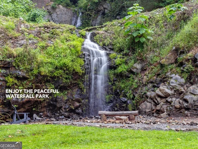 a view of a garden with a bench