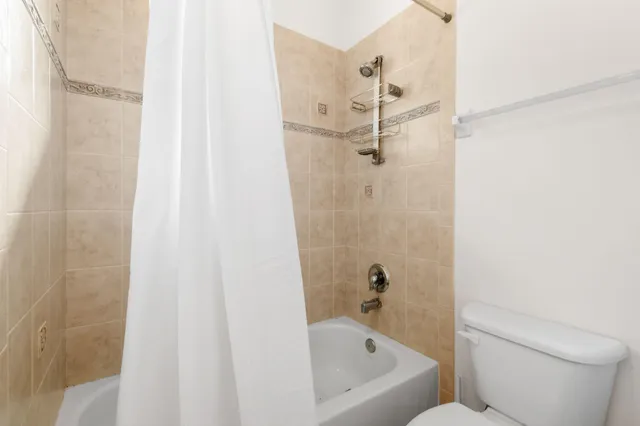a view of a street with potted plants and a large tree