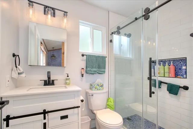 a bathroom with a sink a toilet a mirror a vanity and shower