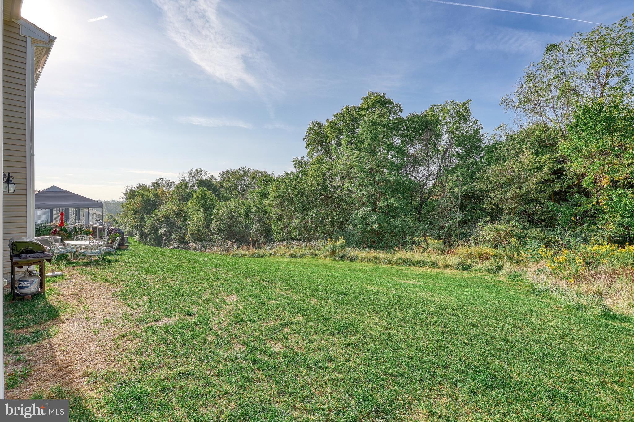 260 Maple Run Drive York, PA 17404 - Photo 31 of 31 a view of a grassy field with trees in the background