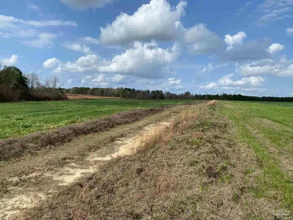 a view of a lake with a big yard
