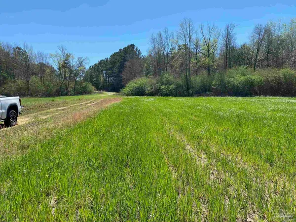 a view of backyard with green space