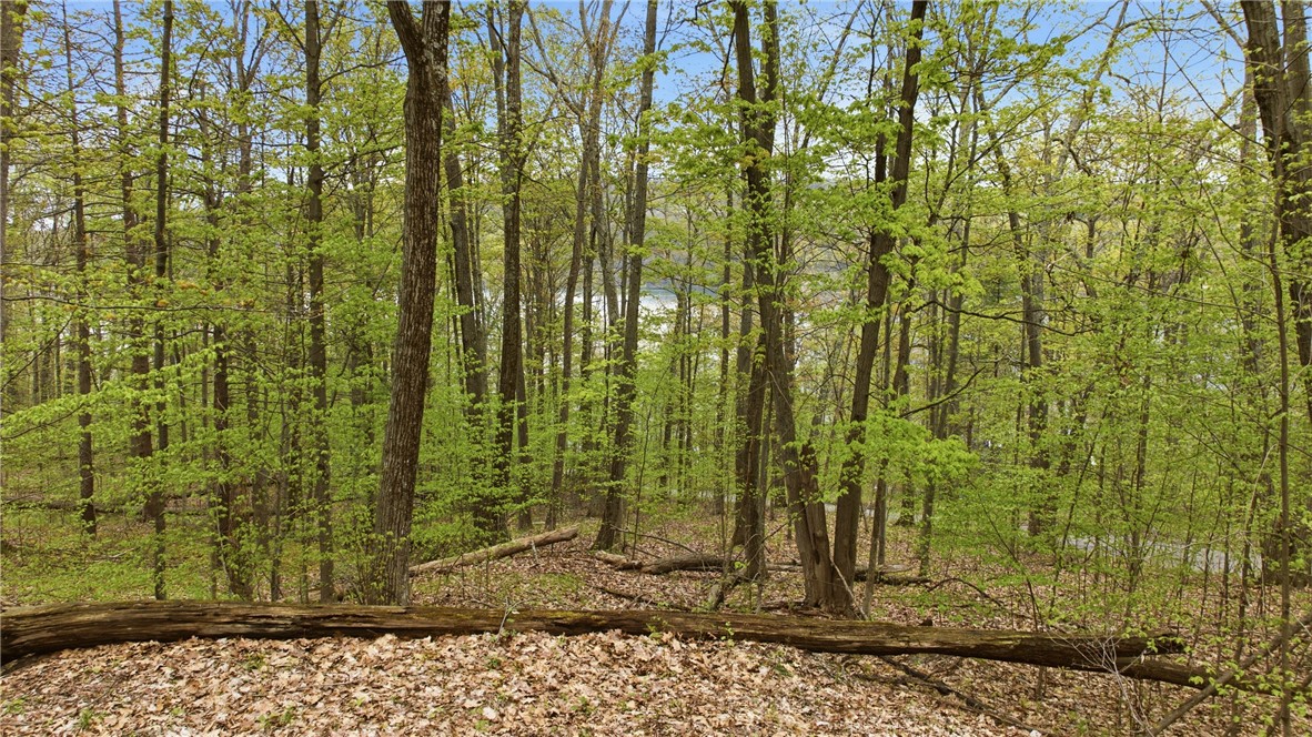 Silvernail Road Hammondsport, NY 14840 - Photo 4 of 25