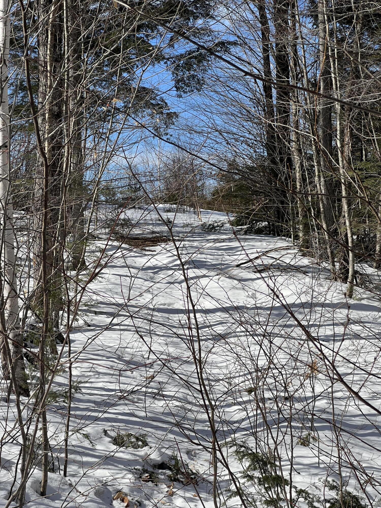 Lot 104-2 Douglass Road Newry, ME 04261 - Photo 10 of 10 IMG_2238